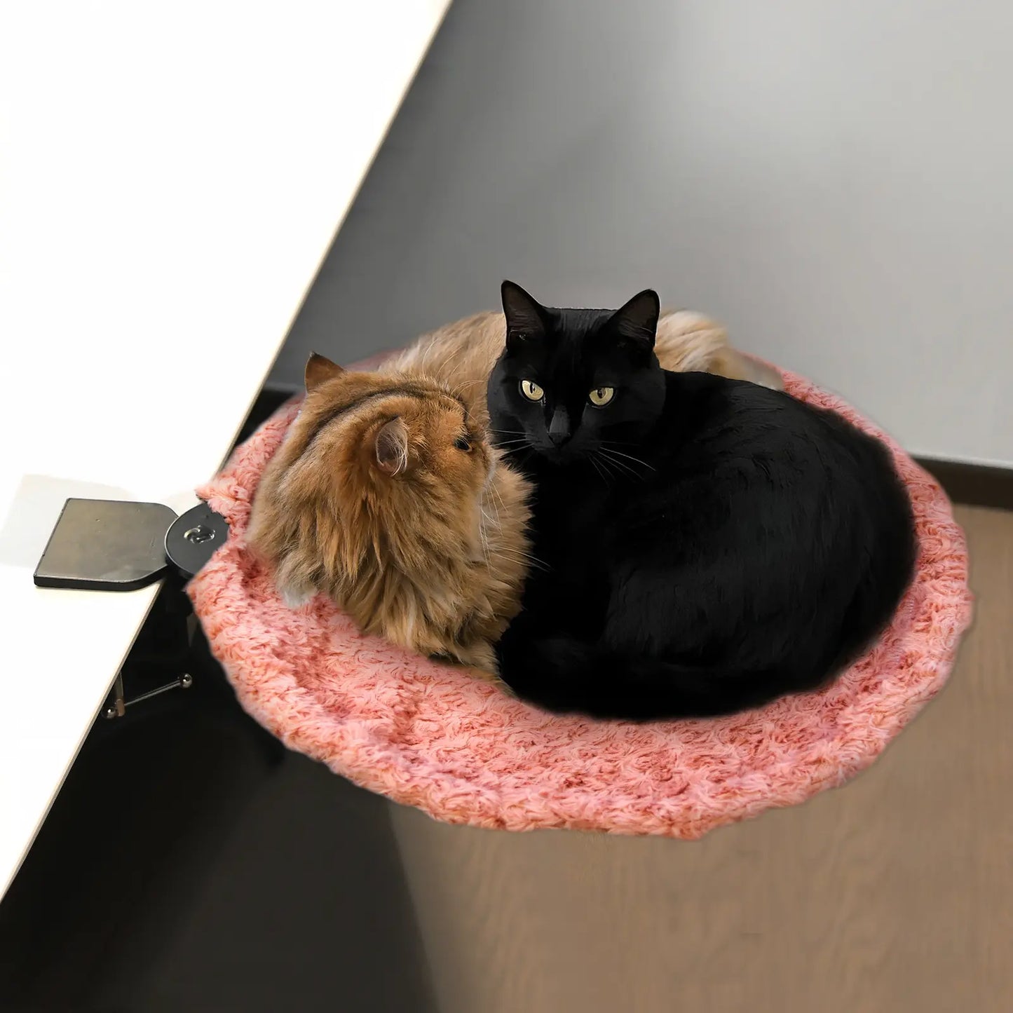 Buttonwoodnest Cozy Cat Bed Climbing Tree Removable Nest and Foldable Bed with Strong Frame Holds 30 Lbs Clip-On Perch Detachable Washable Plush Bed Grey Black Cream for Desk Windowsill Bed Less than 2Inches Thick - Home