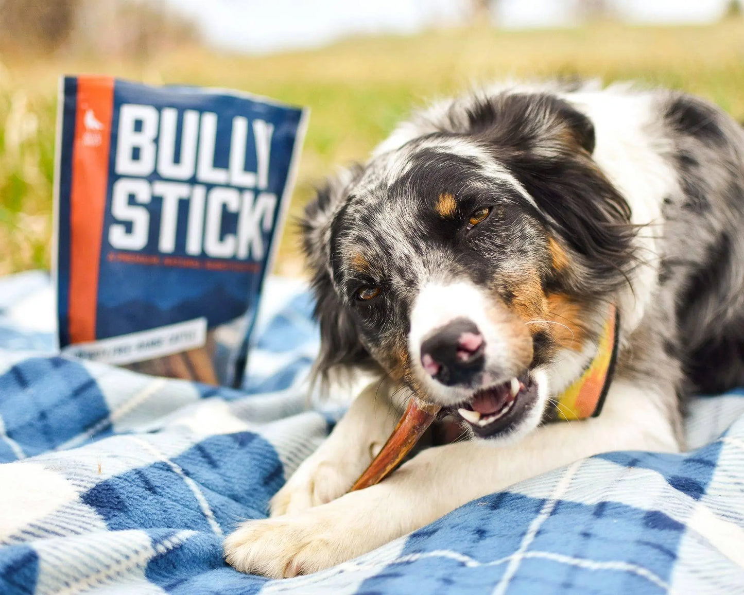 12-Inch Bully Sticks (8Oz./~5 Sticks) Healthy, All-Natural, Long-Lasting Dog Chew Bones - Low Odor - Mixed Thickness - Lab-Tested, Hand-Inspected and Packed with Love in the USA - High Protein Treats - < 12” BULLY STICKS 8 OUNCES >