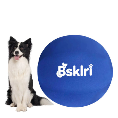 Dog Herding Ball - Push & Chase Toy for Supervised Outdoor Play (NOT for Aggressive Chewing)