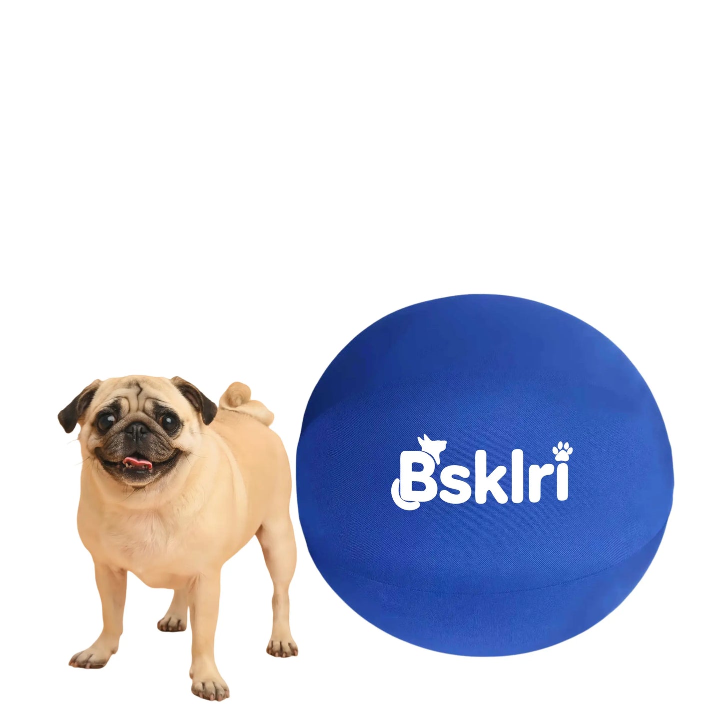 Dog Herding Ball - Push & Chase Toy for Supervised Outdoor Play (NOT for Aggressive Chewing)