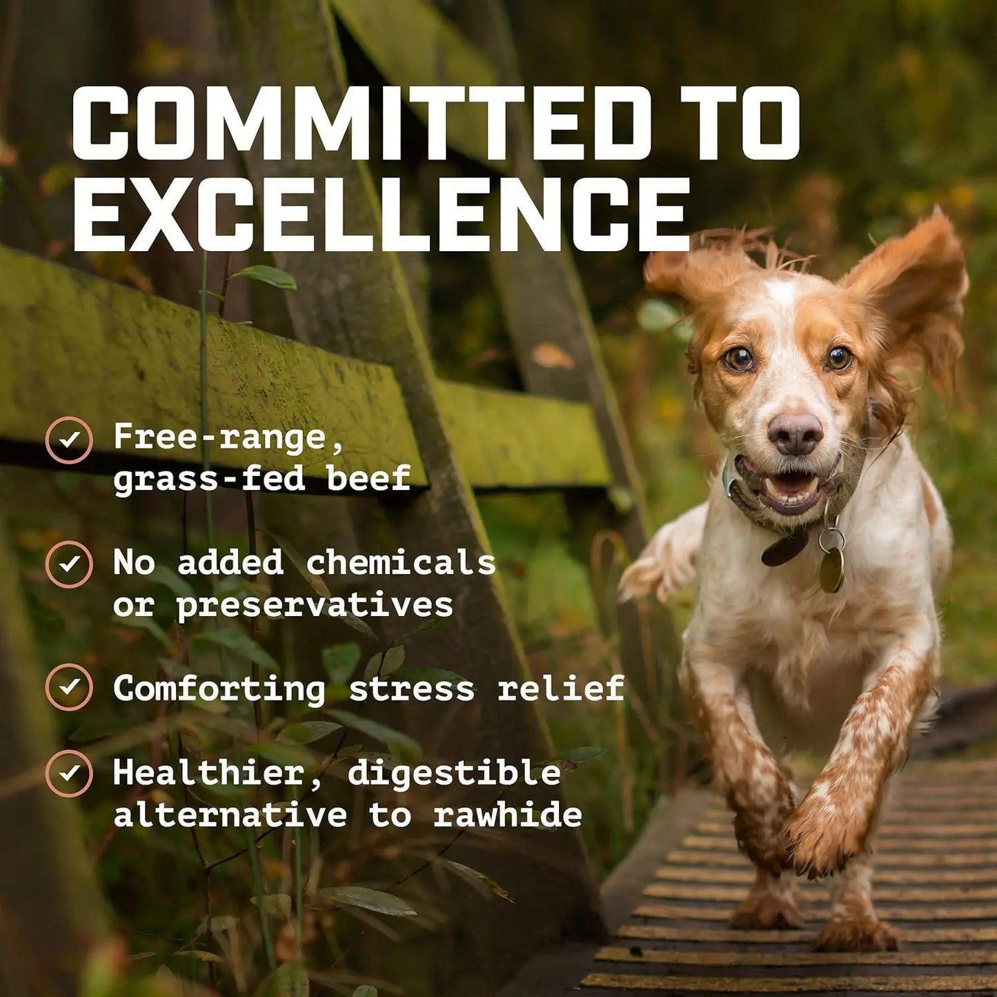 12-Inch Bully Sticks (8Oz./~5 Sticks) Healthy, All-Natural, Long-Lasting Dog Chew Bones - Low Odor - Mixed Thickness - Lab-Tested, Hand-Inspected and Packed with Love in the USA - High Protein Treats - < 12” BULLY STICKS 8 OUNCES >