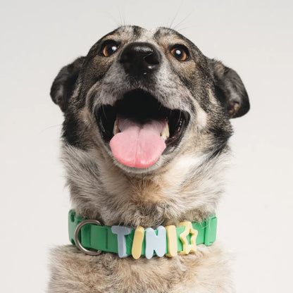 Silicone Dog Charms | Letters & Symbols for Personalized Dog Collars and Leashes - Butter Yellow