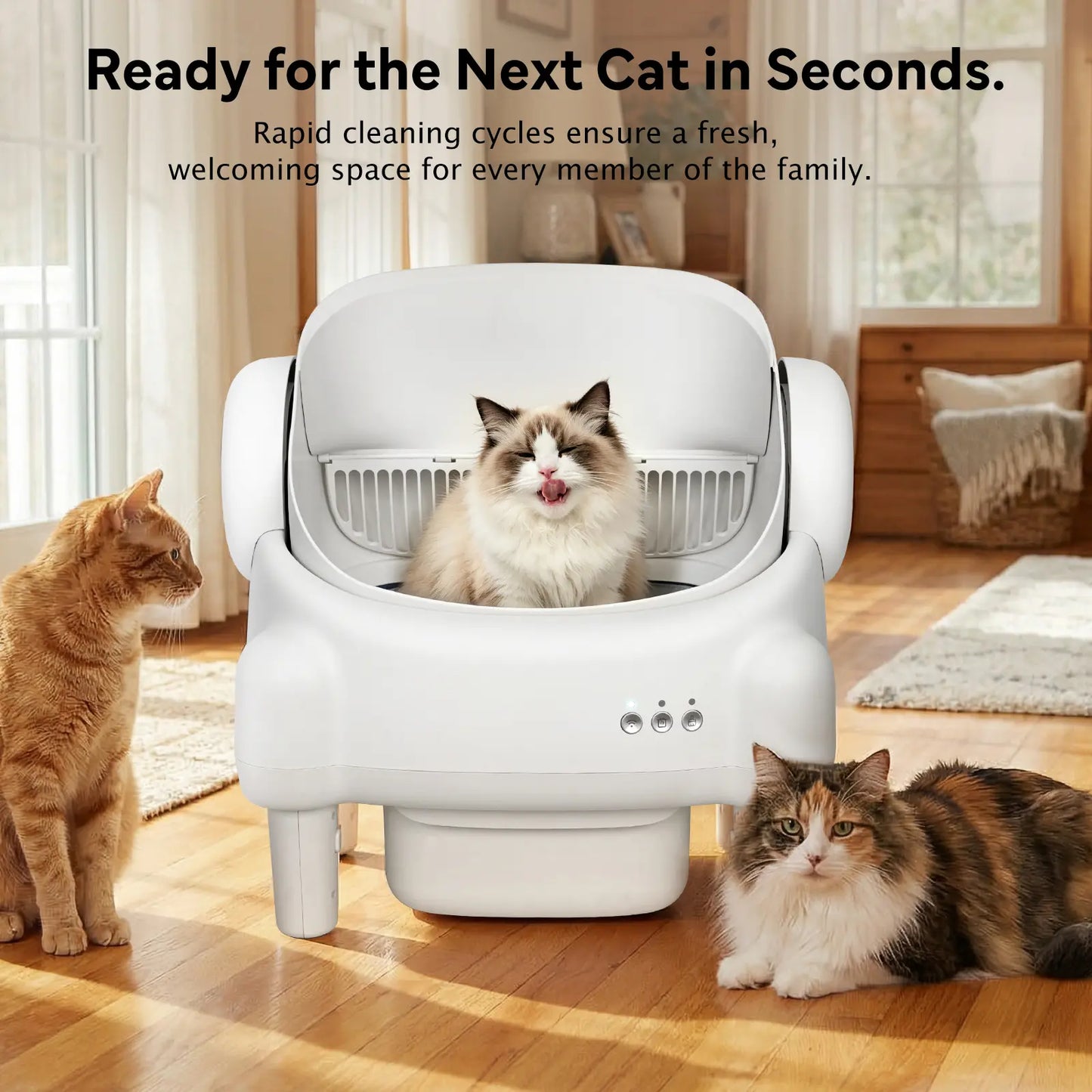 TAYACICY Smart Self-Cleaning Litter Box for Multiple Cats | 10.5L Bin, Open-Top Design, Dual Safety Sensors, Cat Litterbox (Only Supports 2.4G Wifi) Summervibes