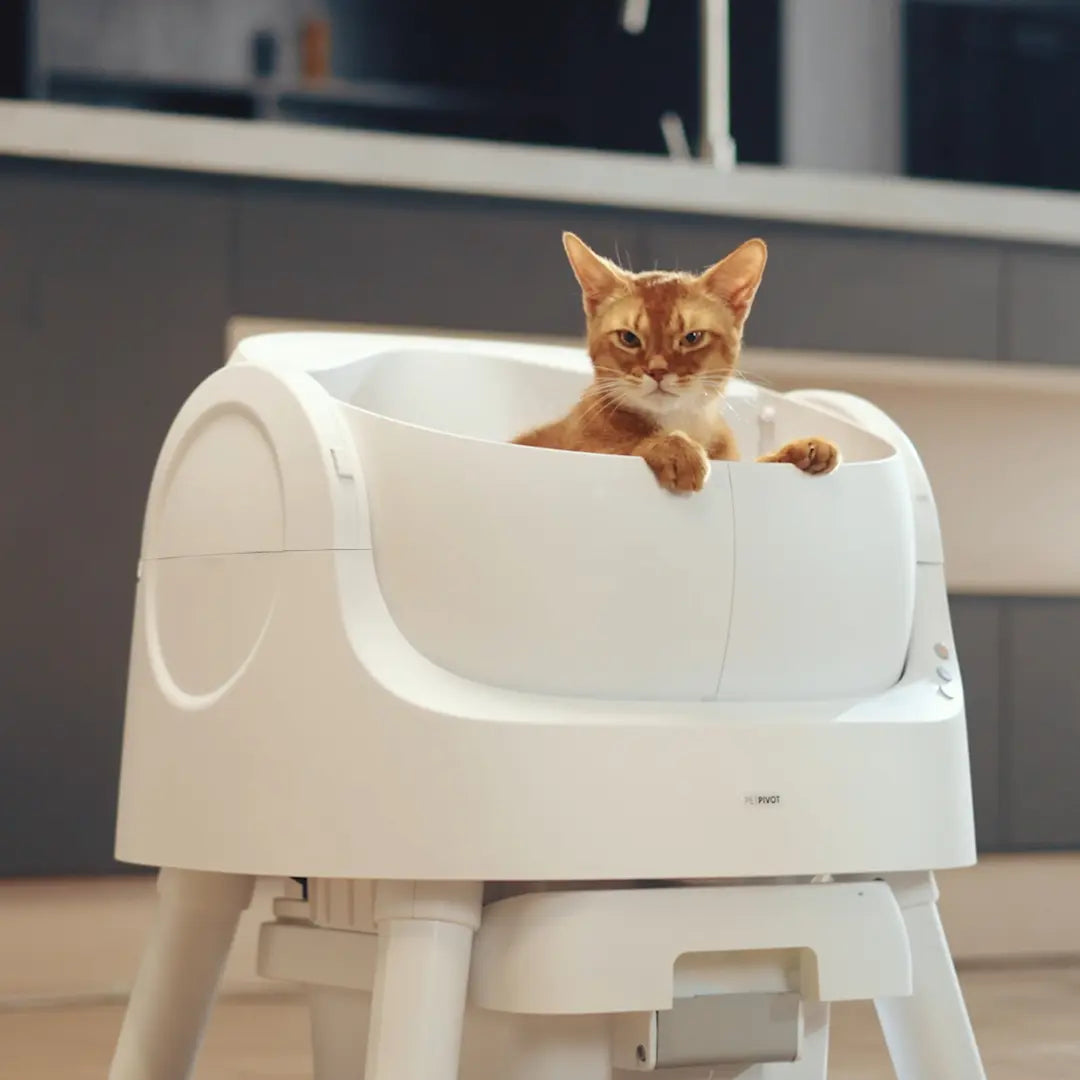 Petpivot Autoscooper 11 Open-Top Self-Cleaning Cat Litter Box，Odor-Free Waste Disposal Includes Trash Bags Summervibes Petlovers