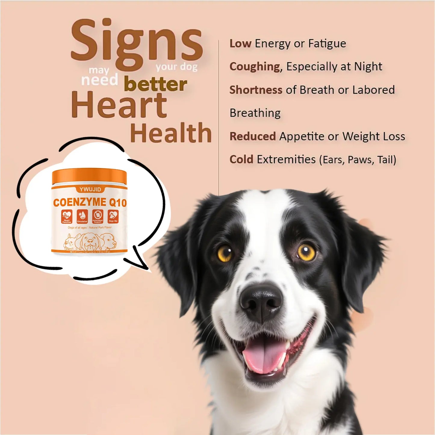 Gentle Wellness Support Taurine + Coq10 Soft Chews for Dogs | No Fillers or Artificial Flavors