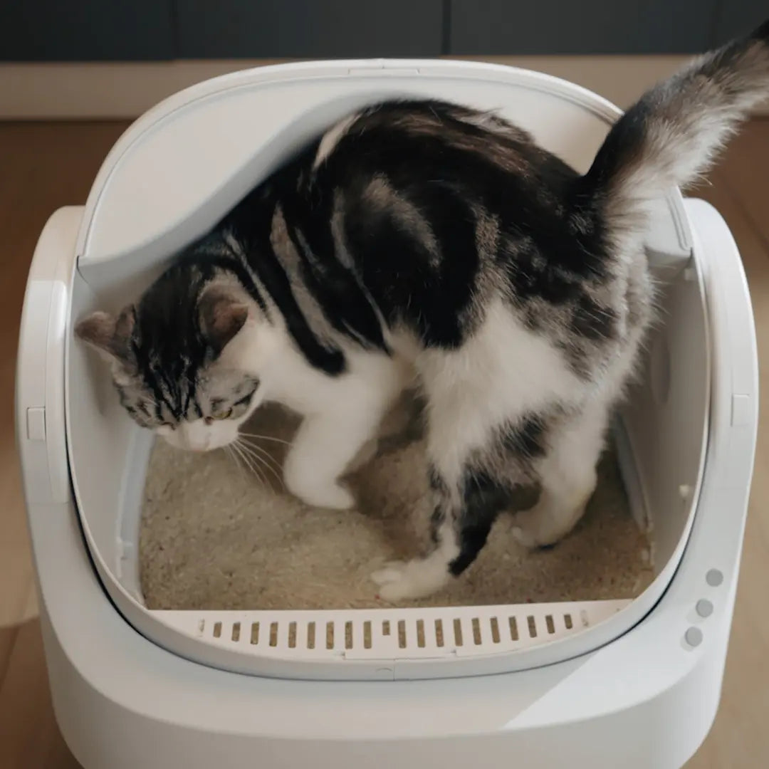 Petpivot Autoscooper 11 Open-Top Self-Cleaning Cat Litter Box，Odor-Free Waste Disposal Includes Trash Bags Summervibes Petlovers