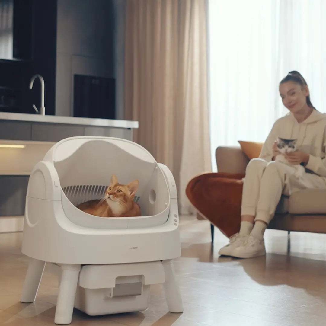 Petpivot Autoscooper 11 Open-Top Self-Cleaning Cat Litter Box，Odor-Free Waste Disposal Includes Trash Bags Summervibes Petlovers