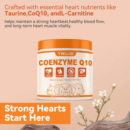 Gentle Wellness Support Taurine + Coq10 Soft Chews for Dogs | No Fillers or Artificial Flavors