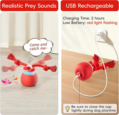 Potaroma Dog Ball Toys Touch Activated, Rechargeable, Squeaky Dog Toy, Interactive Moving Ball for Pup with Rope for Medium Small Dogs Puppy Dark Red,Interactive Training Ball #Summervibes #Petlovers