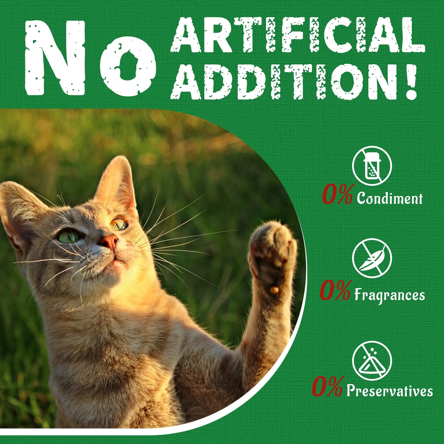 【Petlovers】Just TRY 13.4 OZ Cat Grass Treats Natural Salmon Flavor Healthy Cat Snacks Training Biscuits Catnip for Cats Dental and Hairball Control Treats Remedy Chews#Summervibes#Petlovers