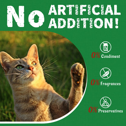 【Petlovers】Just TRY 13.4 OZ Cat Grass Treats Natural Salmon Flavor Healthy Cat Snacks Training Biscuits Catnip for Cats Dental and Hairball Control Treats Remedy Chews#Summervibes#Petlovers