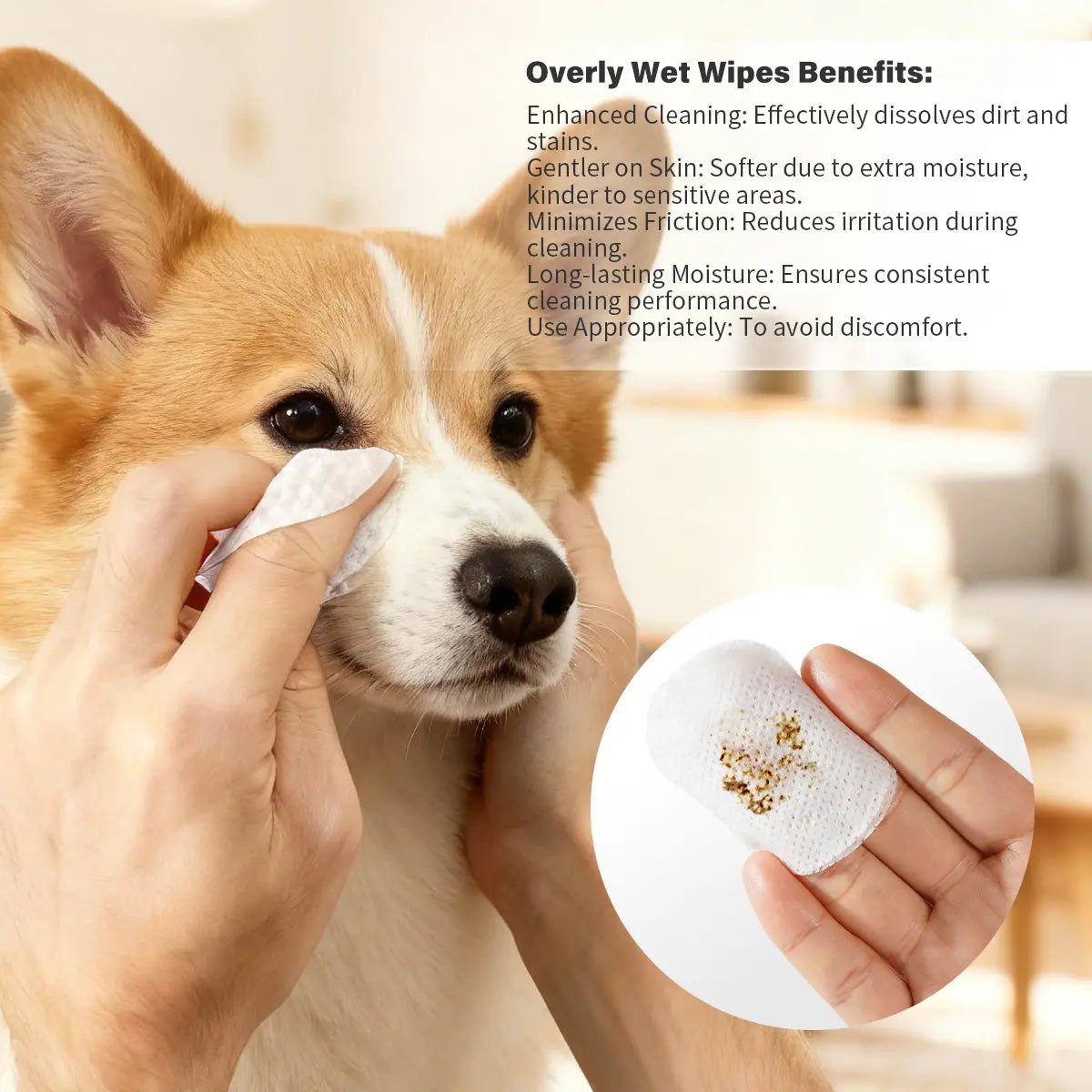 GJYC PET Pet Tear Stain Protection Cream with Professional Brushing for Dog and Cat Eye Care, Natural Anti-Tear, Gentle Cleaning, Removes Tear Stains from Dogs and Cats, Remarkable Effect without Irritation Calming Dog Tear Stain Remover Outdoorfun