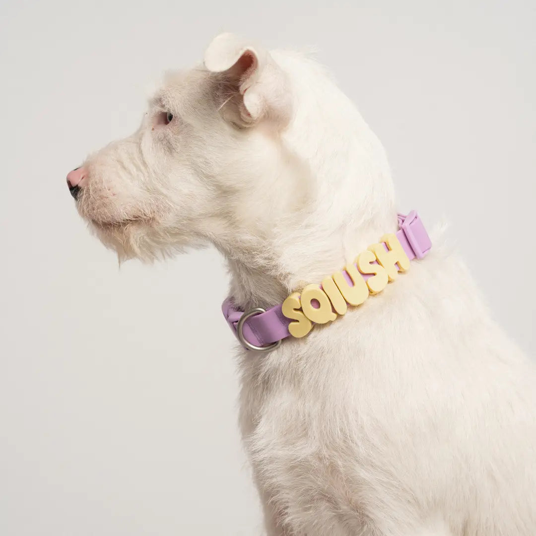 Silicone Dog Charms | Letters & Symbols for Personalized Dog Collars and Leashes - Butter Yellow