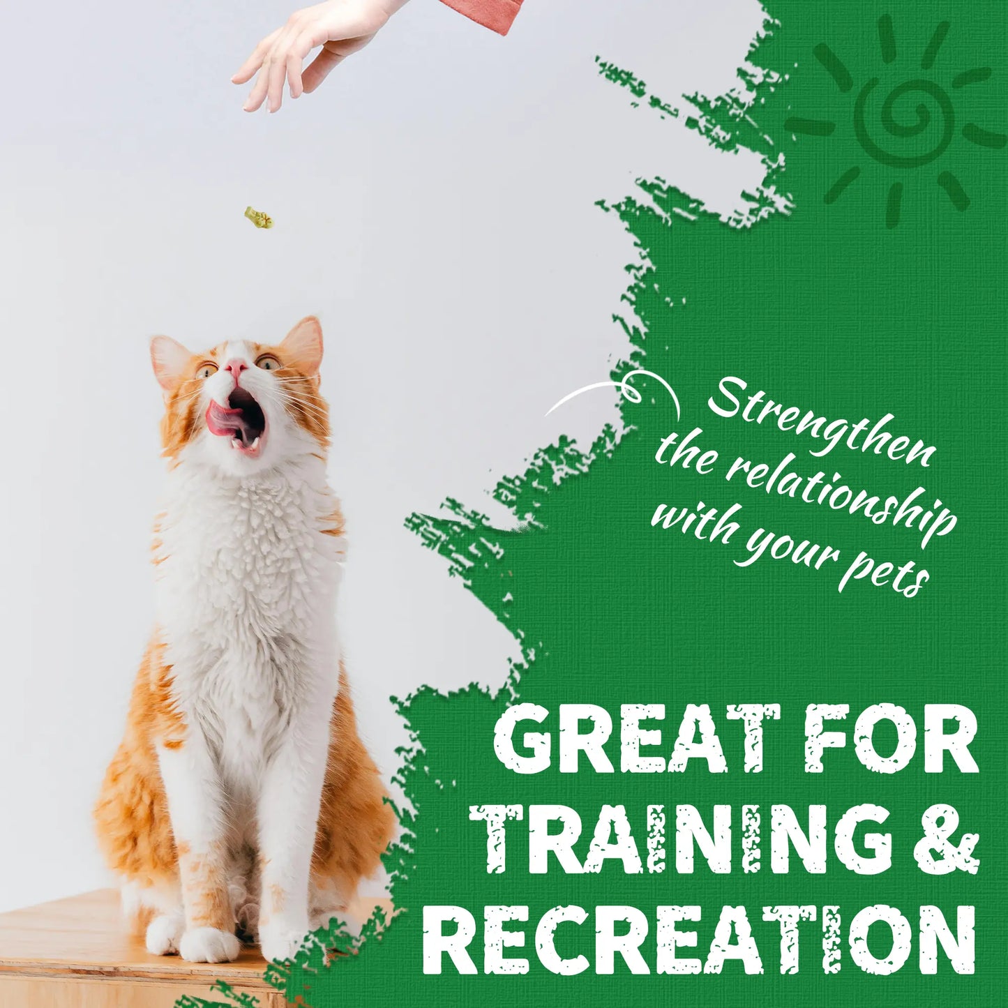 【Petlovers】Just TRY 13.4 OZ Cat Grass Treats Natural Salmon Flavor Healthy Cat Snacks Training Biscuits Catnip for Cats Dental and Hairball Control Treats Remedy Chews#Summervibes#Petlovers