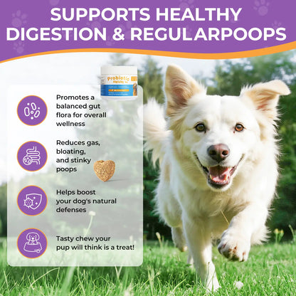 HAPWAG 8-In-1 Probiotics for Dogs - Pork Flavor Chewable Treats, Gut Health, Digestive & Immune Support, Premium-Quality Ingredients, 90 Count Canine Nutritional Supplement