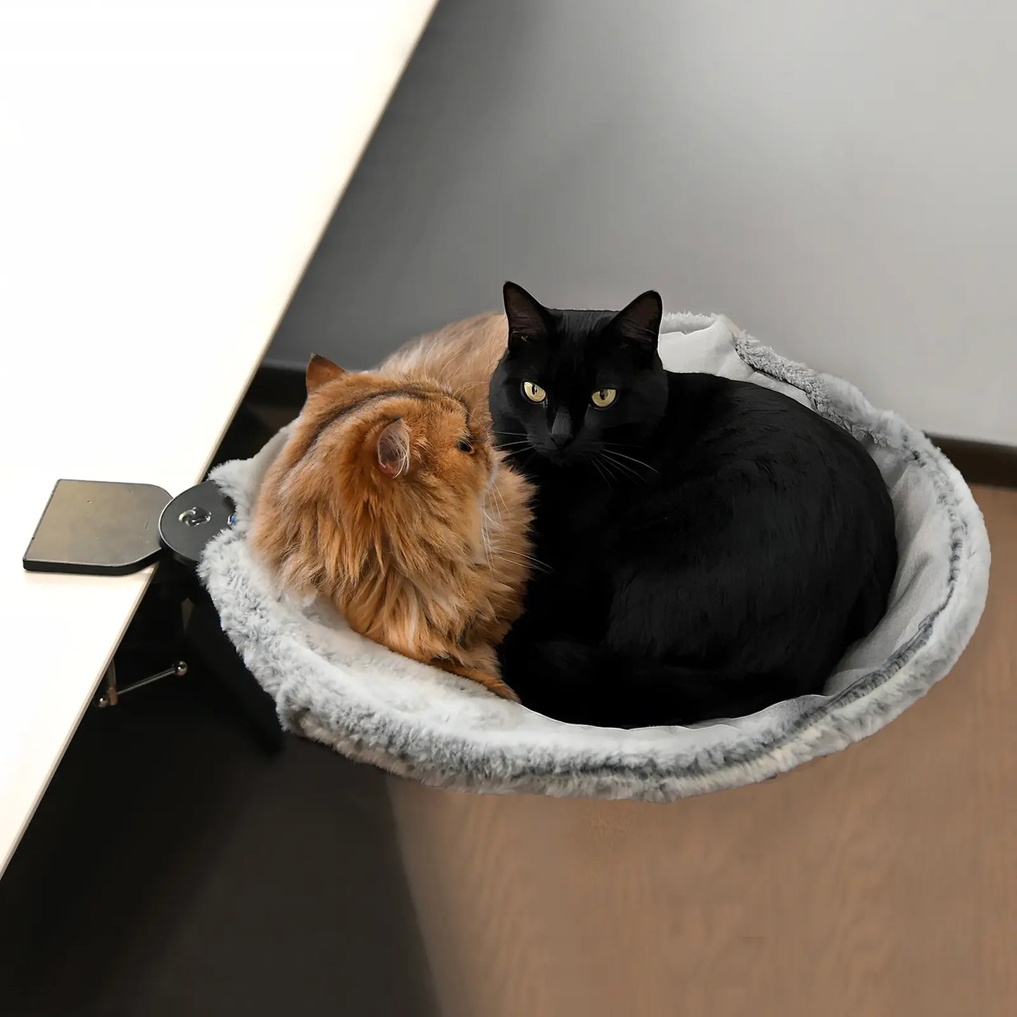 Buttonwoodnest Cozy Cat Bed Climbing Tree Removable Nest and Foldable Bed with Strong Frame Holds 30 Lbs Clip-On Perch Detachable Washable Plush Bed Grey Black Cream for Desk Windowsill Bed Less than 2Inches Thick - Home