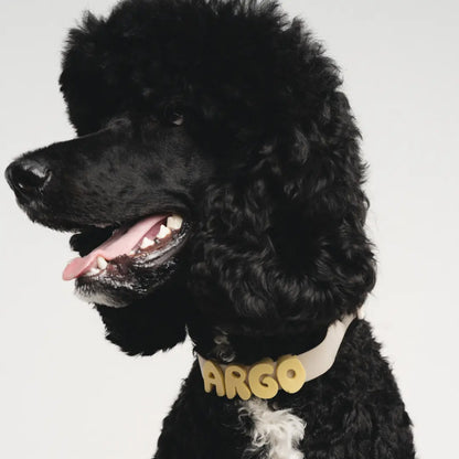 Silicone Dog Charms | Letters & Symbols for Personalized Dog Collars and Leashes - Butter Yellow