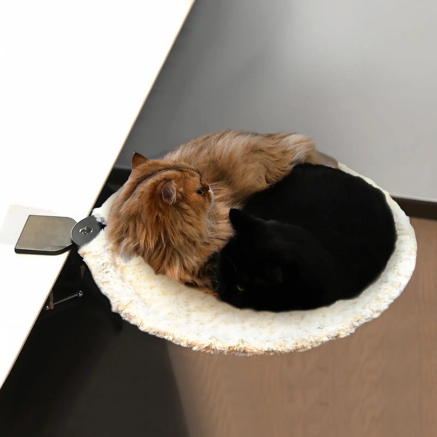 Buttonwoodnest Cozy Cat Bed Climbing Tree Removable Nest and Foldable Bed with Strong Frame Holds 30 Lbs Clip-On Perch Detachable Washable Plush Bed Grey Black Cream for Desk Windowsill Bed Less than 2Inches Thick - Home
