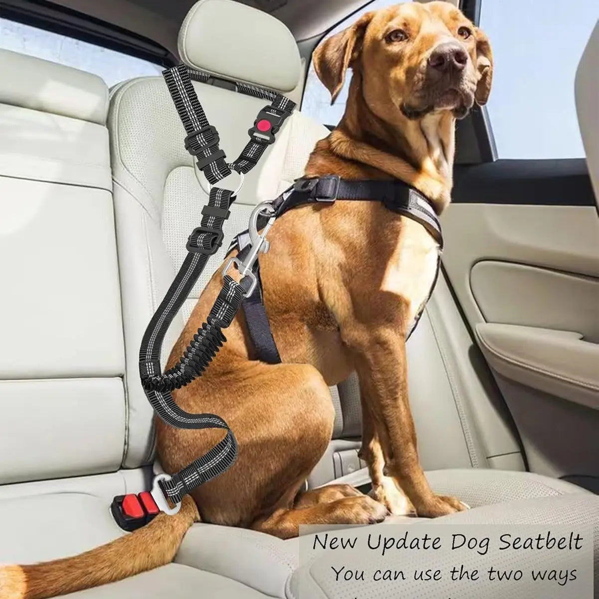 2 Packs Pet Dog Cat Seatbelts, Car Headrest Restraint Adjustable Safety Leads Vehicle Seatbelt Harness.Usa Stock Ships Tomorrow! (Cats Included)