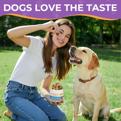 HAPWAG 8-In-1 Probiotics for Dogs - Pork Flavor Chewable Treats, Gut Health, Digestive & Immune Support, Premium-Quality Ingredients, 90 Count Canine Nutritional Supplement