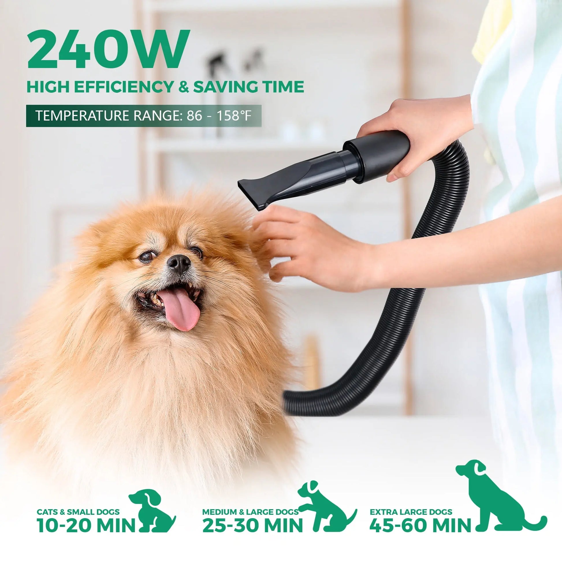 Professional Pet Grooming Hair Dryer - 2400W Portable Quick-Drying Variable-Speed Grooming Product with 4 Adjustable Nozzles, NOVA Model for Dogs (Grooming Tool), Grooming Products, Tools,Summervibes