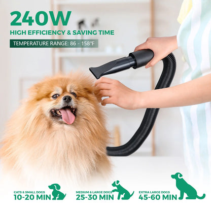 Professional Pet Grooming Hair Dryer - 2400W Portable Quick-Drying Variable-Speed Grooming Product with 4 Adjustable Nozzles, NOVA Model for Dogs (Grooming Tool), Grooming Products, Tools,Summervibes
