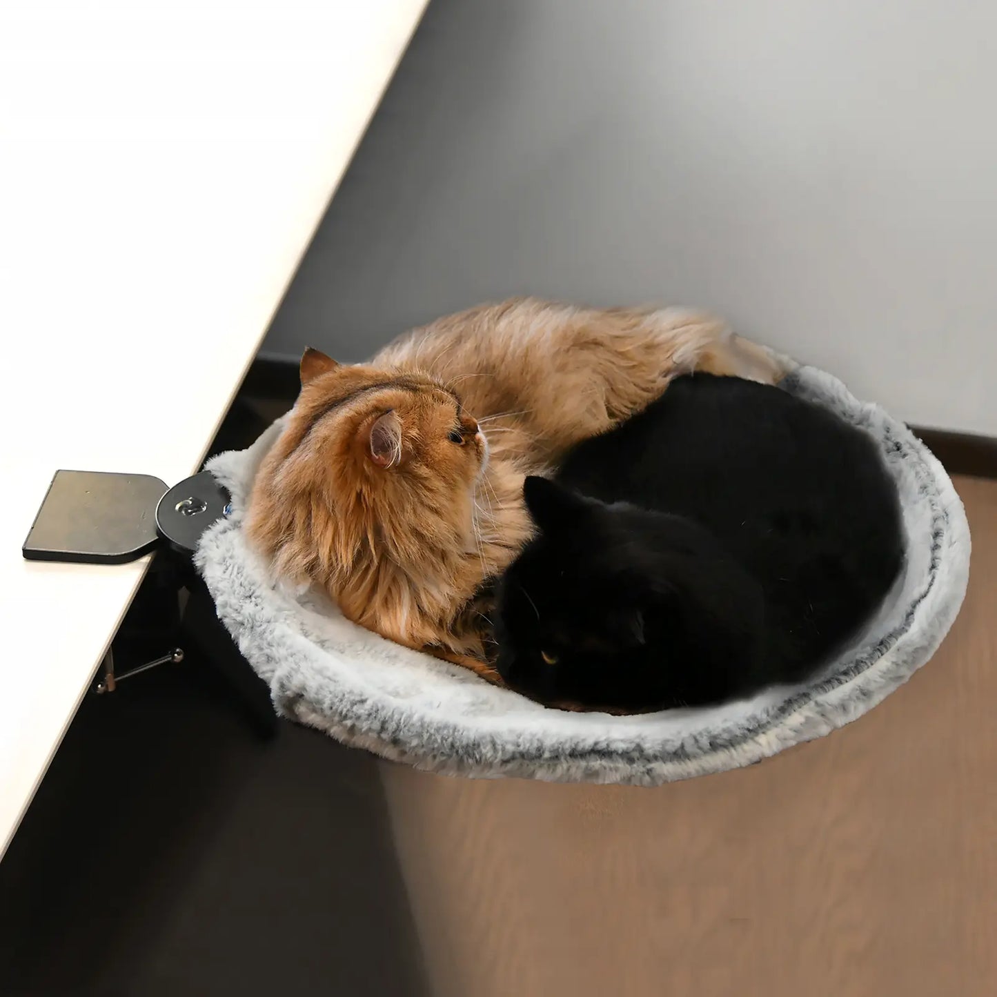 Buttonwoodnest Cozy Cat Bed Climbing Tree Removable Nest and Foldable Bed with Strong Frame Holds 30 Lbs Clip-On Perch Detachable Washable Plush Bed Grey Black Cream for Desk Windowsill Bed Less than 2Inches Thick - Home