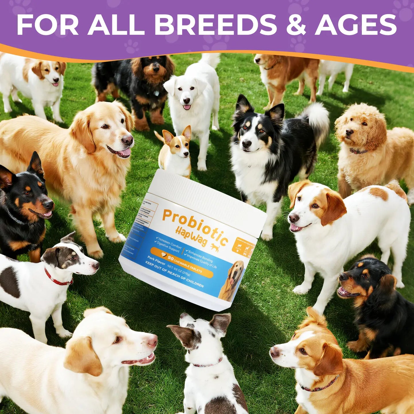 HAPWAG 8-In-1 Probiotics for Dogs - Pork Flavor Chewable Treats, Gut Health, Digestive & Immune Support, Premium-Quality Ingredients, 90 Count Canine Nutritional Supplement