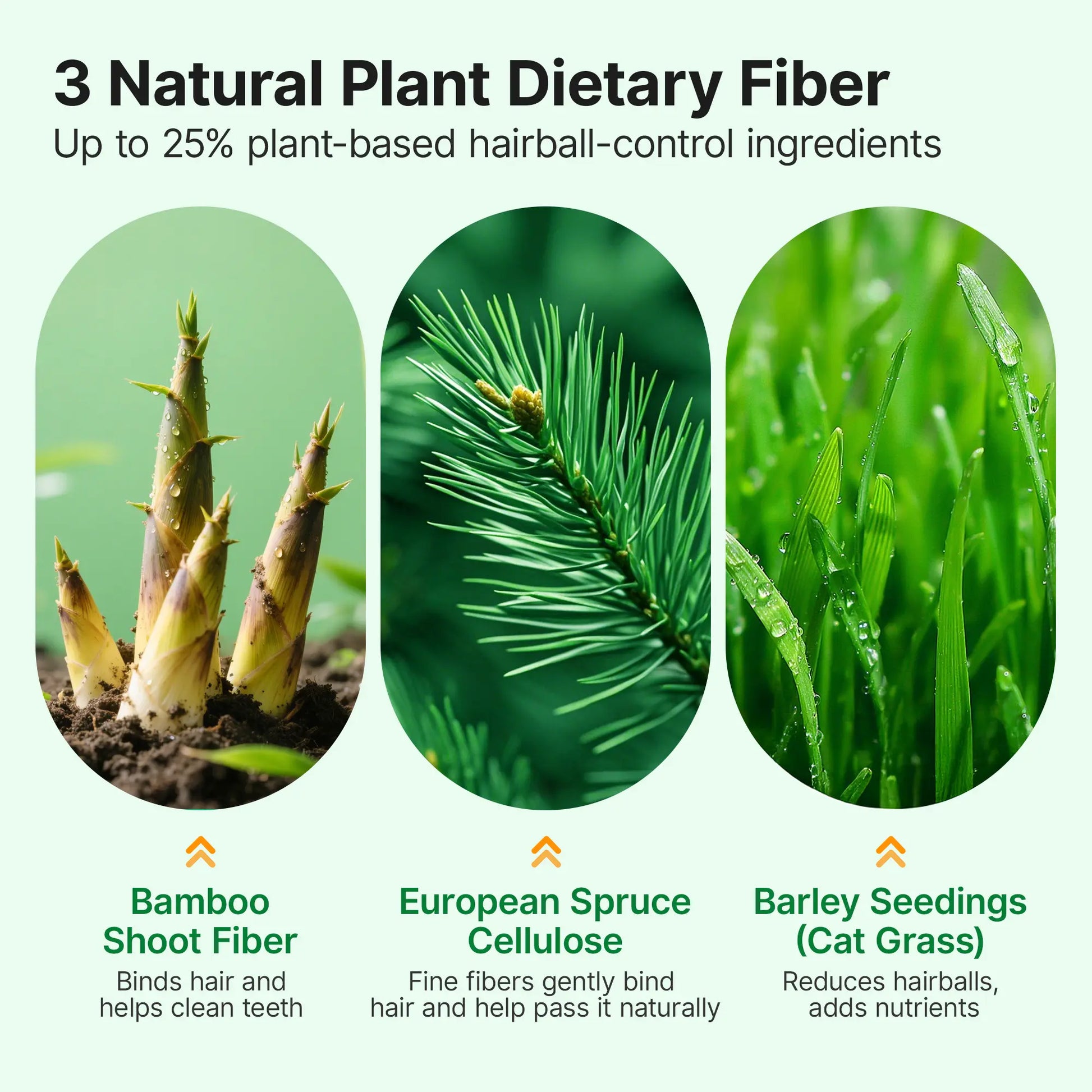 Pawfirst Freeze-Dried Cat Grass Treats for Hairball Control & Digestive Health – Chicken, Natural Barley Grass & Plant Fiber – Grain-Free, Chew Toy Dehydrated Crunchy Bites for Indoor Kittens #Summervibes #Petlovers