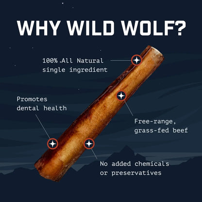 12-Inch Bully Sticks (8Oz./~5 Sticks) Healthy, All-Natural, Long-Lasting Dog Chew Bones - Low Odor - Mixed Thickness - Lab-Tested, Hand-Inspected and Packed with Love in the USA - High Protein Treats - < 12” BULLY STICKS 8 OUNCES >