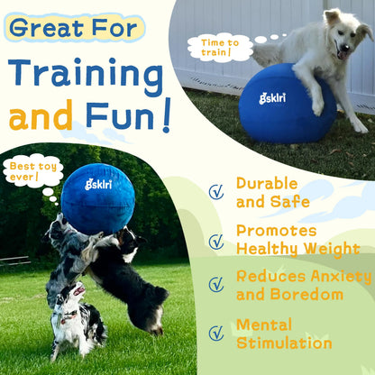 Dog Herding Ball - Push & Chase Toy for Supervised Outdoor Play (NOT for Aggressive Chewing)