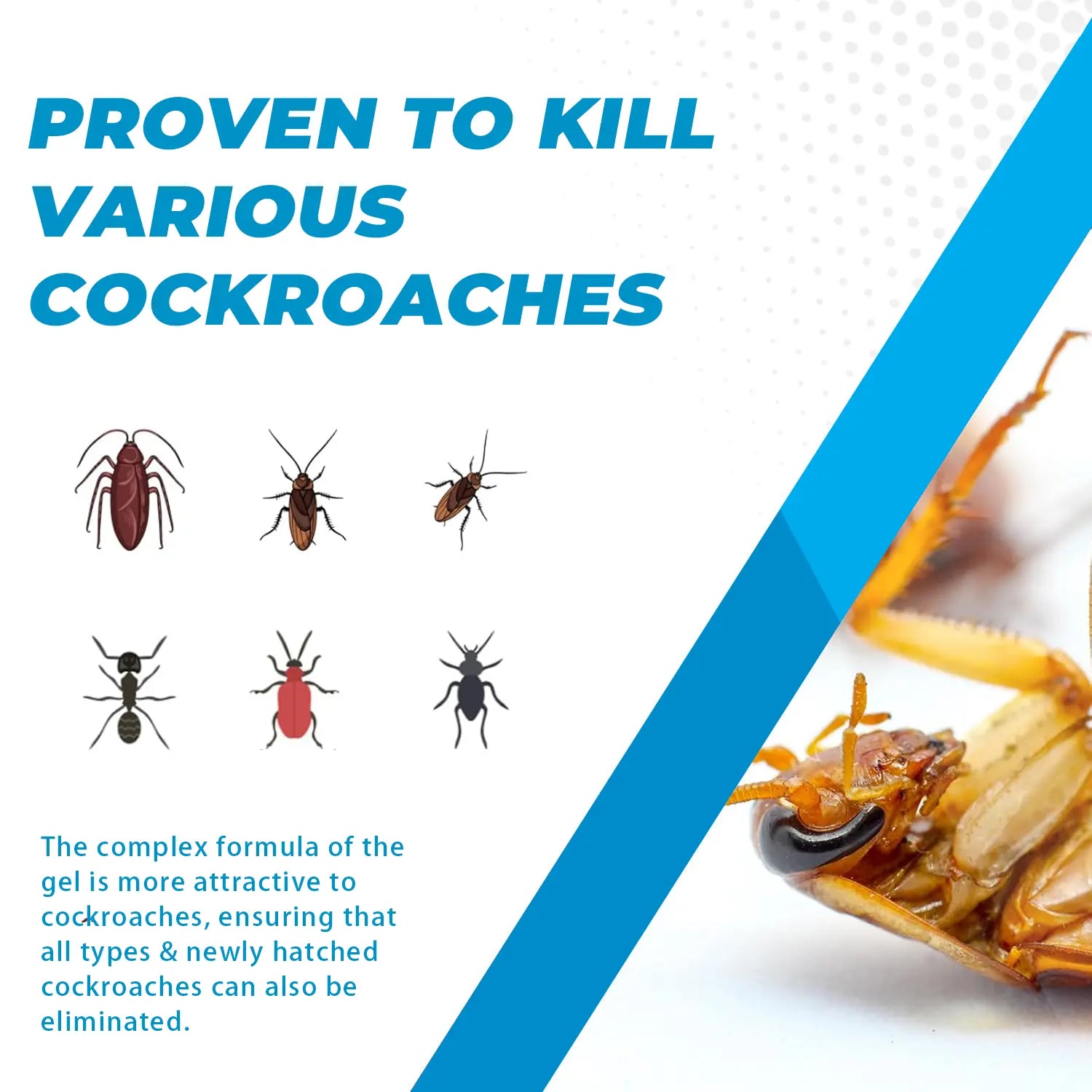 Cockroach Gel Bait 30G Roach Killer, Indoor Outdoor Pest Control for German & American Roaches with Plunger & Precision Tip Summervibes