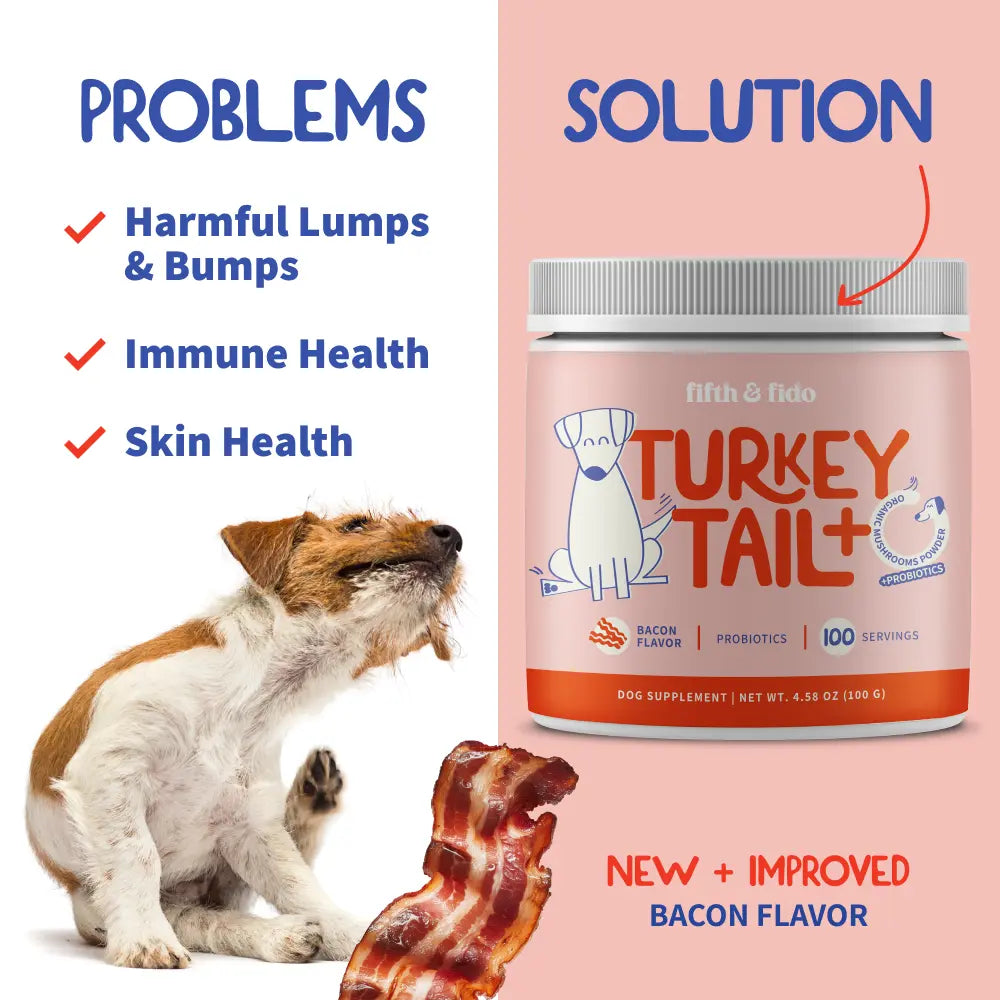 Fifth and Fido 3-Pack Turkey Tail Dog Food Topper, Bacon Flavor, Probiotic-Rich, Limited-Ingredient, Daily Dosing, Lump Reducer, Immune Boost, Gut Health Support, 100 Servings per Bottle