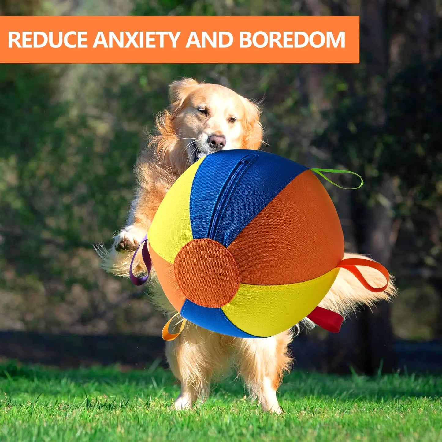 Pet Dog Toy Inflatable Ball Pattern, Interactive Pet Toy, Dog Training Play Ball, Durable Chew, Suitable for Large Medium Small Dogs