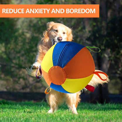 Pet Dog Toy Inflatable Ball Pattern, Interactive Pet Toy, Dog Training Play Ball, Durable Chew, Suitable for Large Medium Small Dogs
