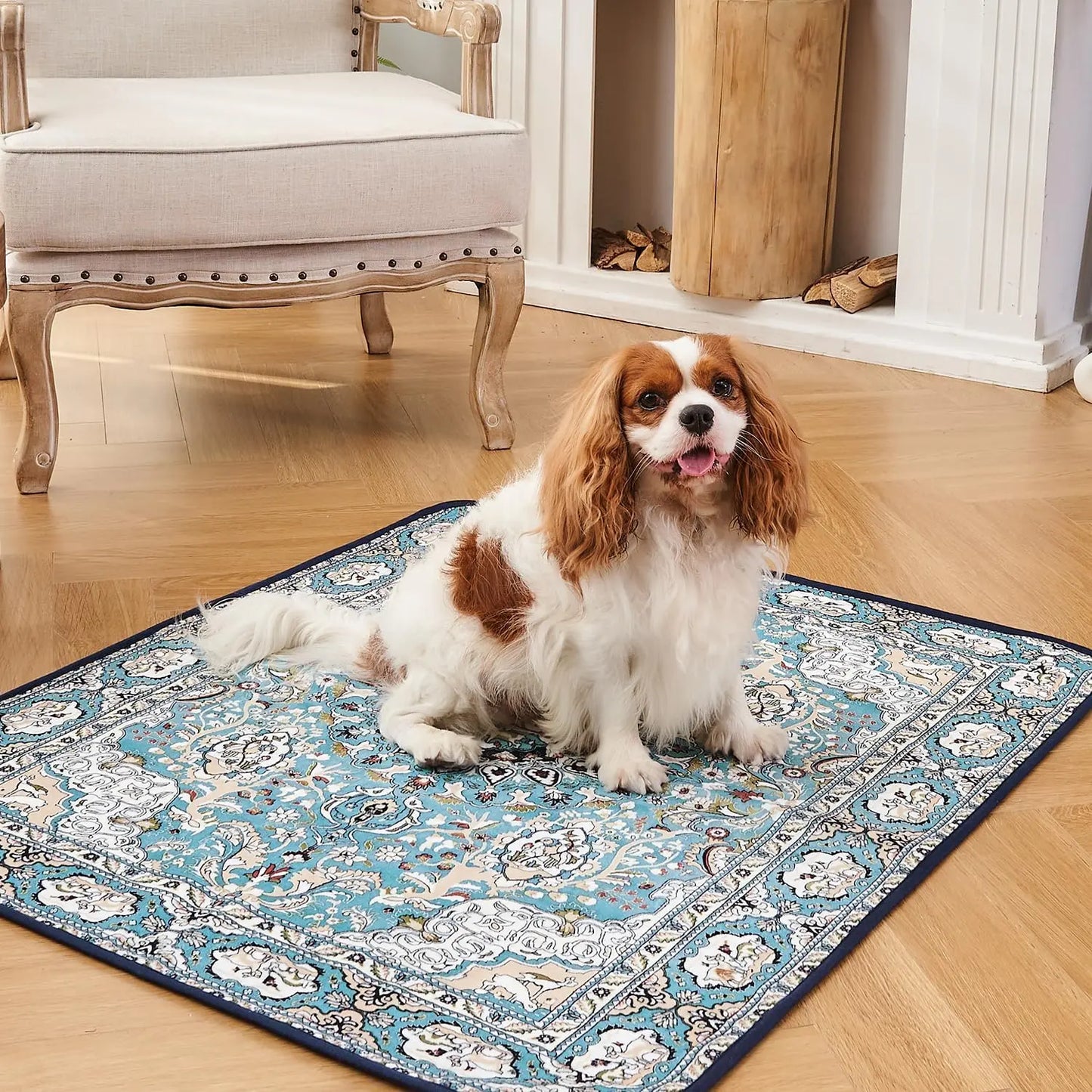 Qeils 36"X41" Washable Puppy Pee Pads | Super Absorbent, Waterproof & Reusable Non-Slip Training Mat for Floor/Crate Pet Supplies Poodle Dogs