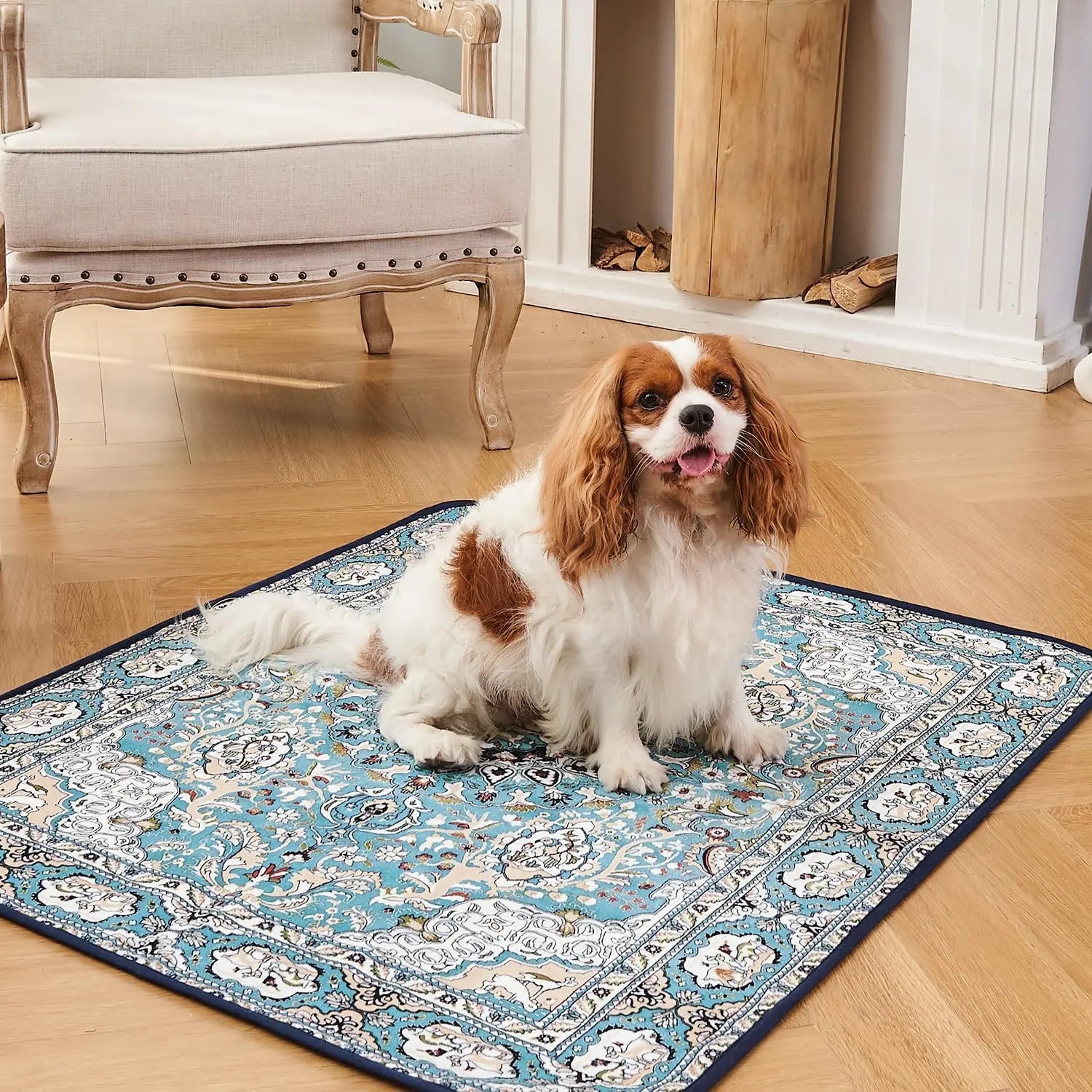 Qeils 36"X41" Washable Puppy Pee Pads | Super Absorbent, Waterproof & Reusable Non-Slip Training Mat for Floor/Crate Pet Supplies Poodle Dogs