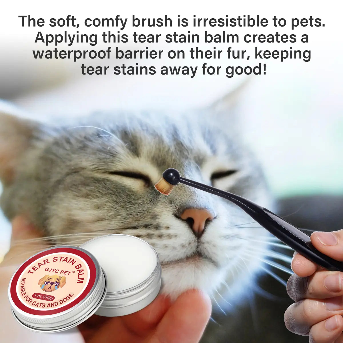 GJYC PET Pet Tear Stain Protection Cream with Professional Brushing for Dog and Cat Eye Care, Natural Anti-Tear, Gentle Cleaning, Removes Tear Stains from Dogs and Cats, Remarkable Effect without Irritation Calming Dog Tear Stain Remover Outdoorfun